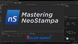 Mastering NeoStampa: DTF RIP Software Essentials