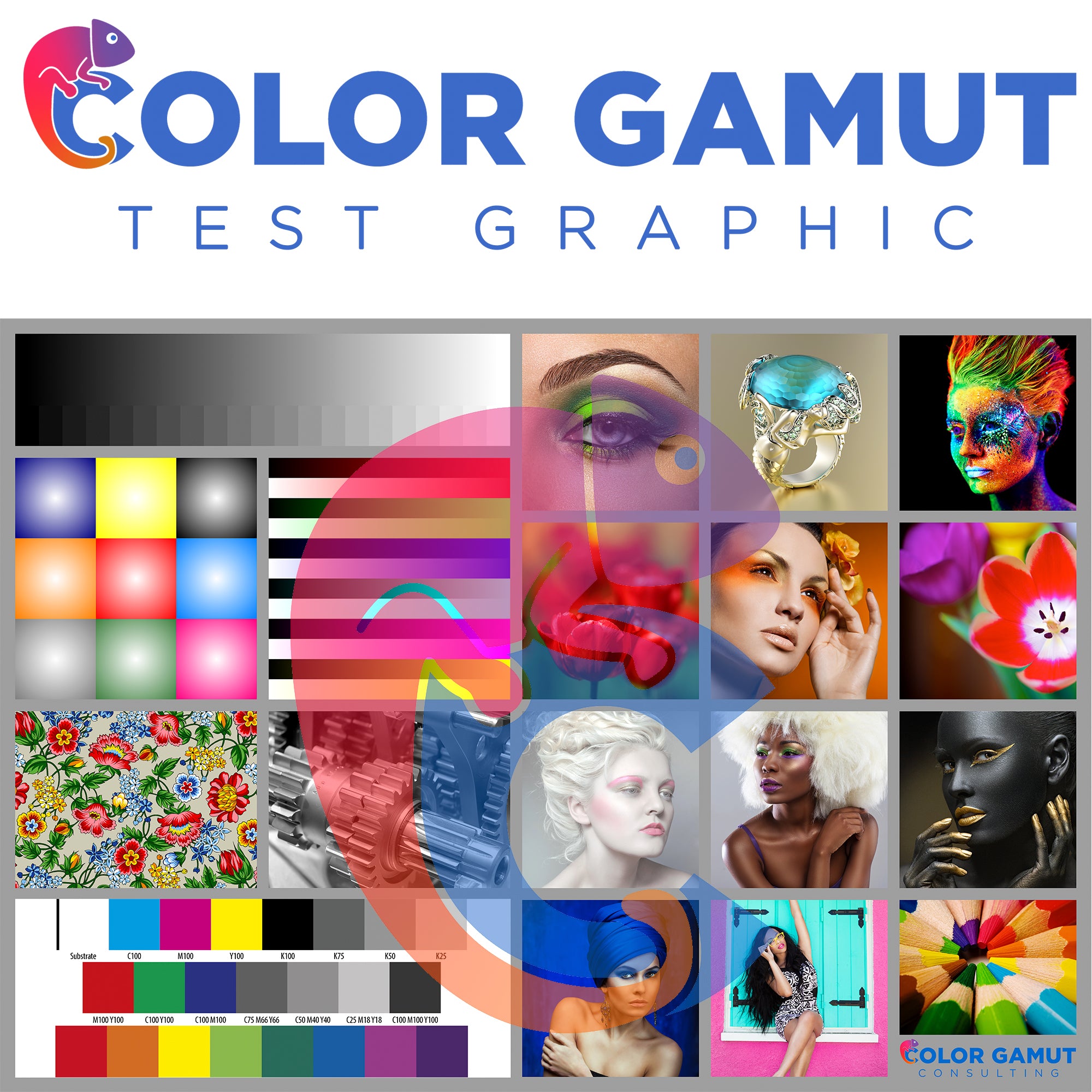 DTF Color Evaluation Test Print — Solid, Gradient, Skin Tones & More