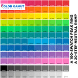 Custom DTF Color Swatch Chart from Your ICC Profile — 600 In-Gamut Hex Codes